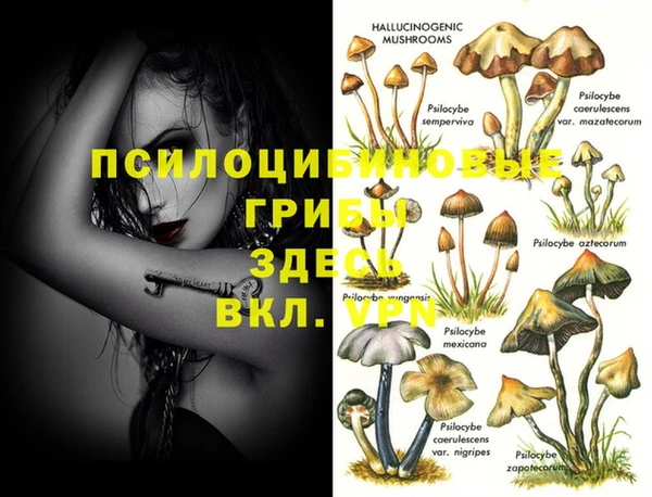 а пвп мука Надым