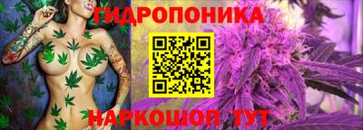 ешки Гай