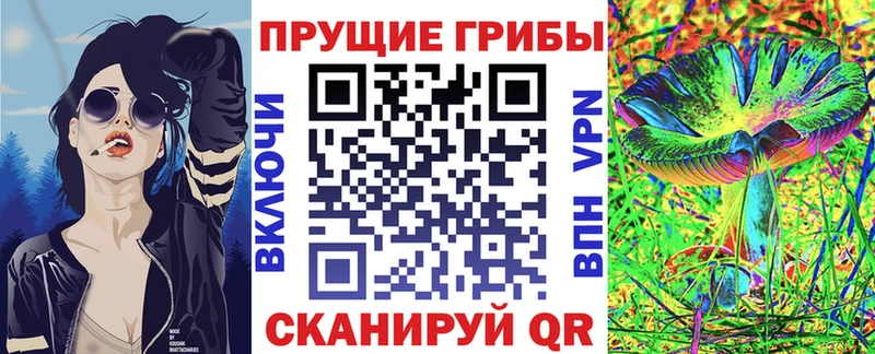 Псилоцибиновые грибы GOLDEN TEACHER  Черногорск 