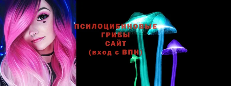 Псилоцибиновые грибы Psilocybe  Черногорск 