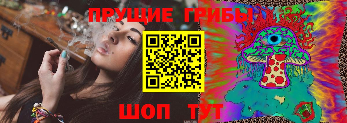 Псилоцибиновые грибы Cubensis Черногорск