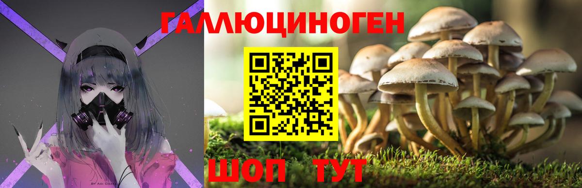 Псилоцибиновые грибы Magic Shrooms  Черногорск 