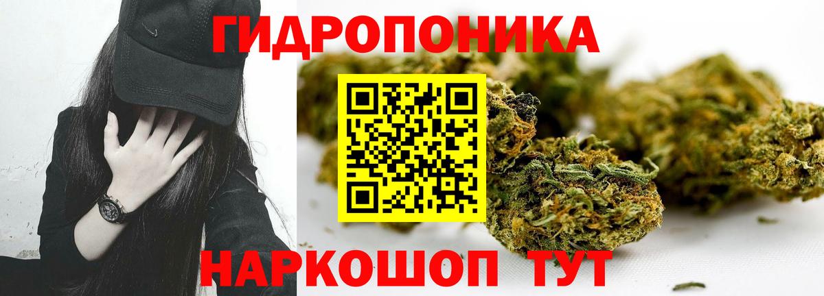 Каннабис конопля Черногорск